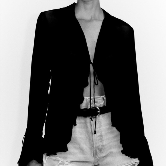 Zara NEW Semi Sheer Blouse with Ruffles - Picture 4 of 6